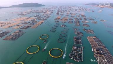 福建漳州东山岛渔民海上养殖场
